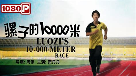 騾子的10000米|骡子的10000米》/ Luozi′s 10,000